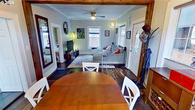 dining area featuring dark hardwood / wood-style floors, ceiling fan, and crown molding