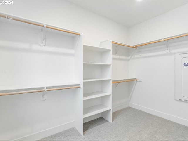 spacious closet featuring light colored carpet