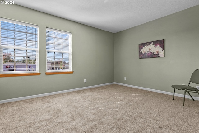 unfurnished room with light colored carpet and a textured ceiling