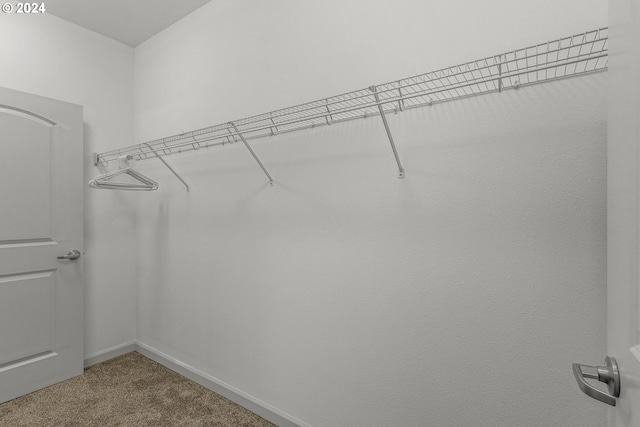 spacious closet with carpet flooring