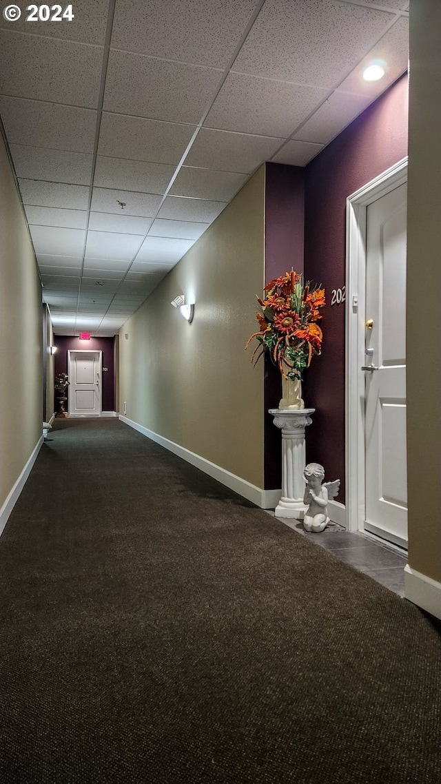 corridor with a paneled ceiling and carpet flooring