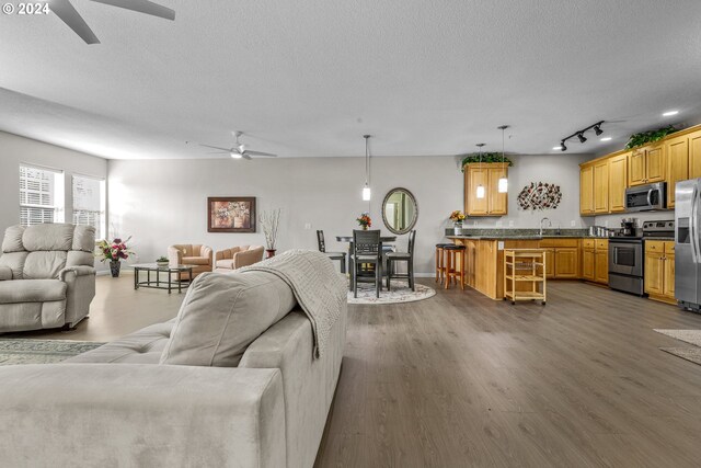 living room with sink, a textured ceiling, track lighting, dark hardwood / wood-style flooring, and ceiling fan