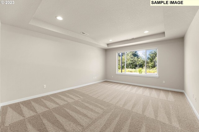 spare room featuring a textured ceiling, a tray ceiling, and light carpet