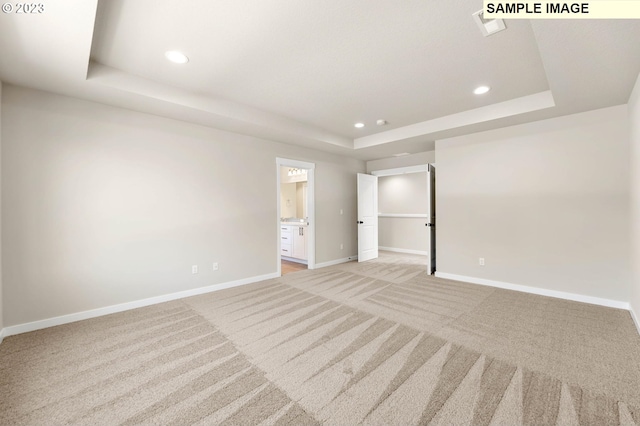 spare room featuring light colored carpet and a raised ceiling