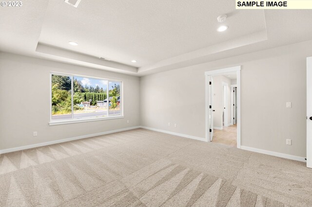 unfurnished room with light carpet and a tray ceiling