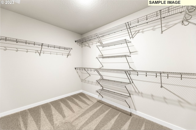 spacious closet with carpet flooring