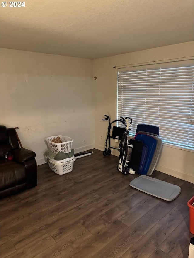 miscellaneous room with dark hardwood / wood-style flooring