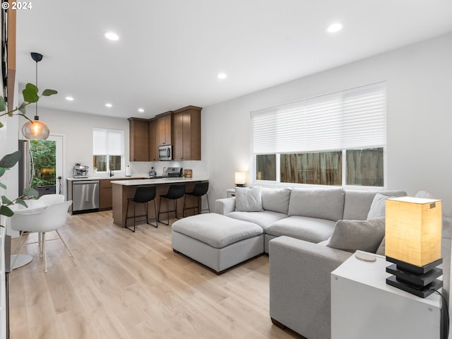 living room featuring sink and light wood-type flooring