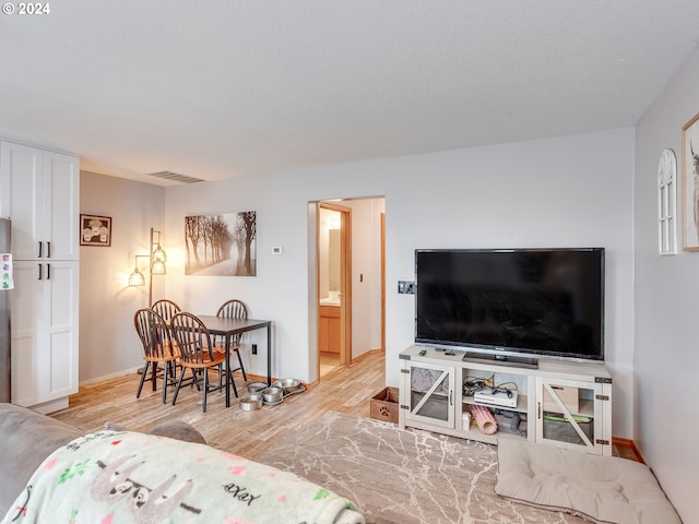 living room featuring light hardwood / wood-style flooring