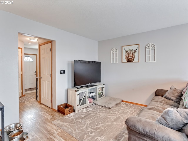 living room with light hardwood / wood-style floors