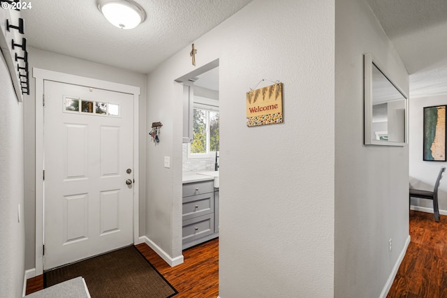 entryway featuring dark hardwood / wood-style flooring and a textured ceiling