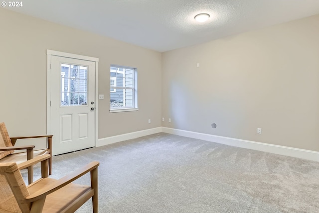 living area with carpet flooring and a textured ceiling