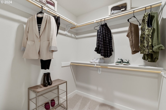 walk in closet with carpet flooring