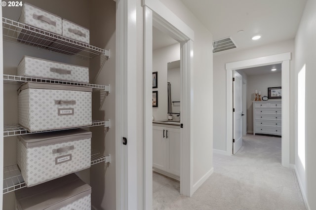 interior space with light colored carpet and sink