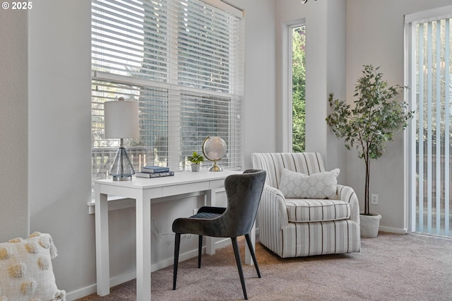 view of carpeted office space