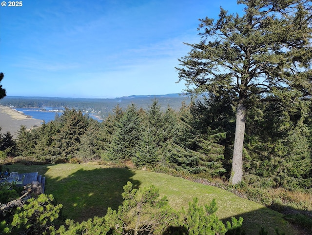 220 Flake St, Port Orford, OR 97465 - water view with a mountain backdrop