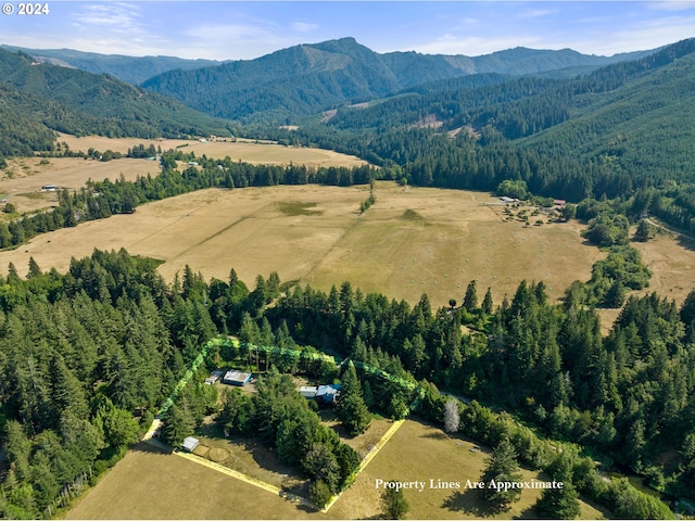 birds eye view of property featuring a mountain view