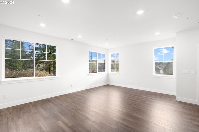 empty room featuring dark hardwood / wood-style floors