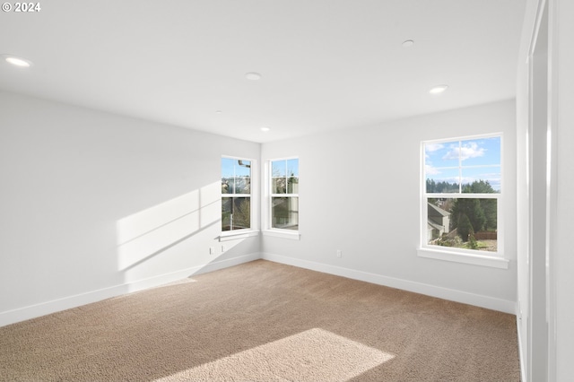 carpeted spare room with plenty of natural light