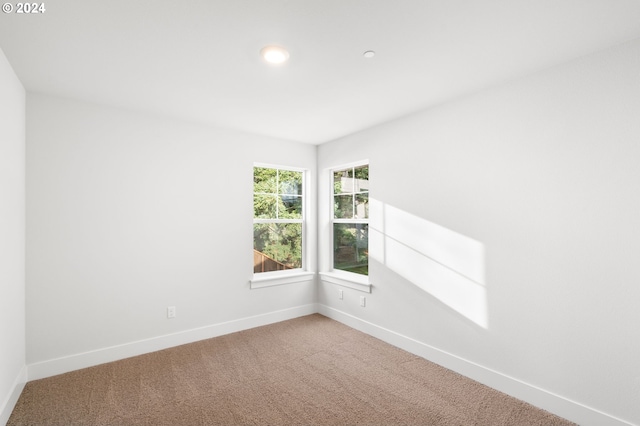 unfurnished room with carpet flooring