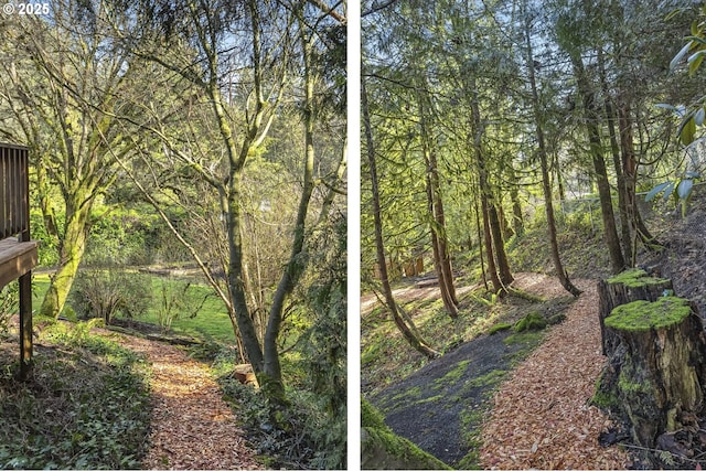 view of landscape featuring a forest view