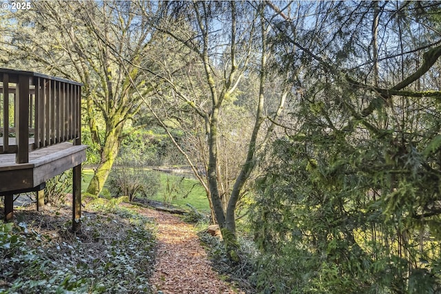 view of yard featuring a wooden deck