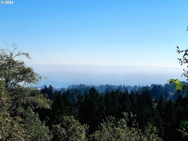 mountain view featuring a view of trees