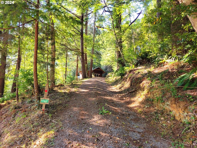 view of street featuring a wooded view and driveway