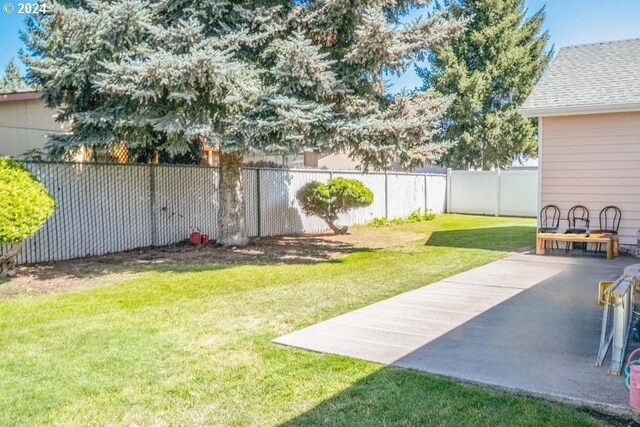 view of yard with a patio