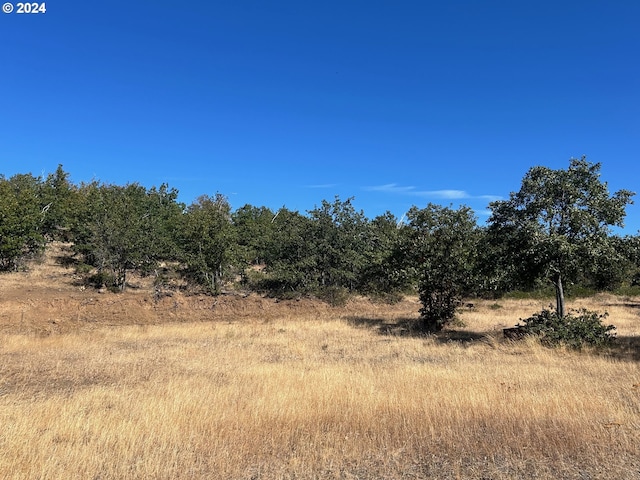 211 Jensen Quarry Rd, Bickleton, WA 99322 - view of nature