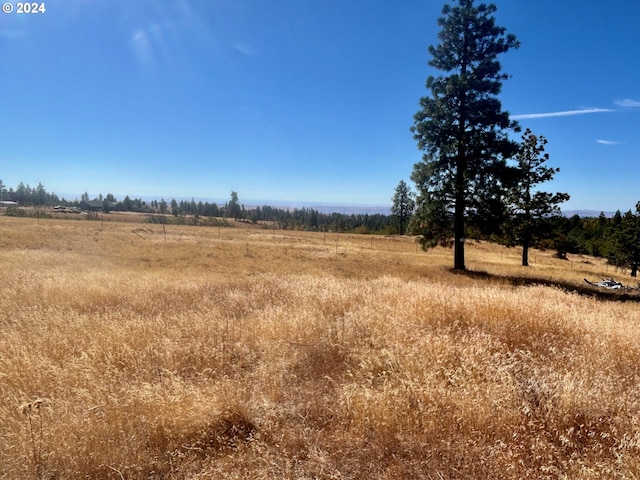 211 Jensen Quarry Rd, Bickleton, WA 99322 - view of local wilderness featuring a rural view