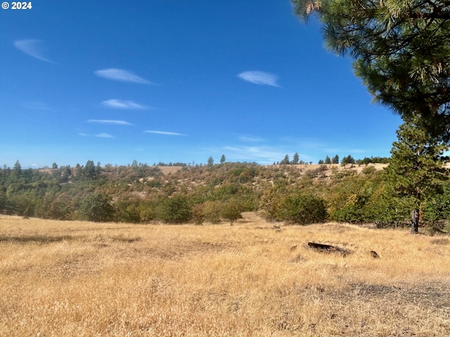 211 Jensen Quarry Rd, Bickleton, WA 99322 - view of local wilderness featuring a rural view