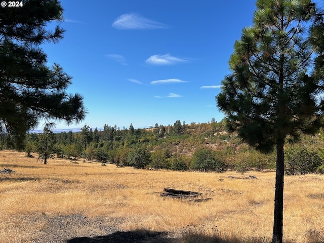 211 Jensen Quarry Rd, Bickleton, WA 99322 - view of local wilderness