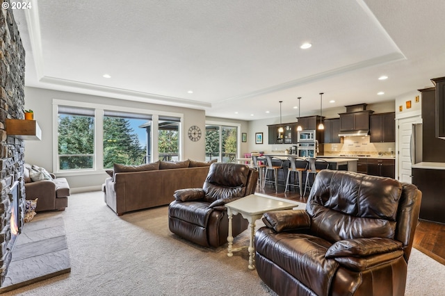 living room with a tray ceiling