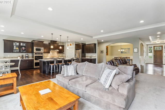 living room featuring dark hardwood / wood-style floors and a raised ceiling