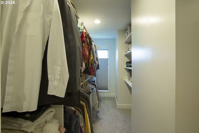 walk in closet featuring carpet flooring