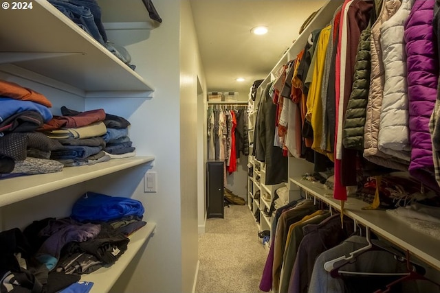 spacious closet with light colored carpet