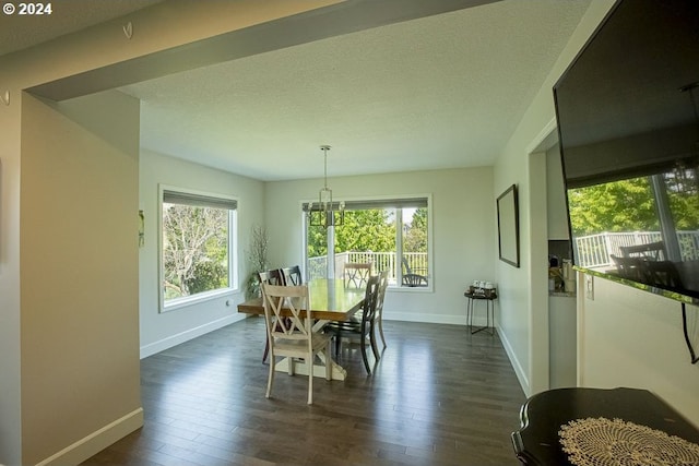 dining space with dark hardwood / wood-style flooring and a textured ceiling