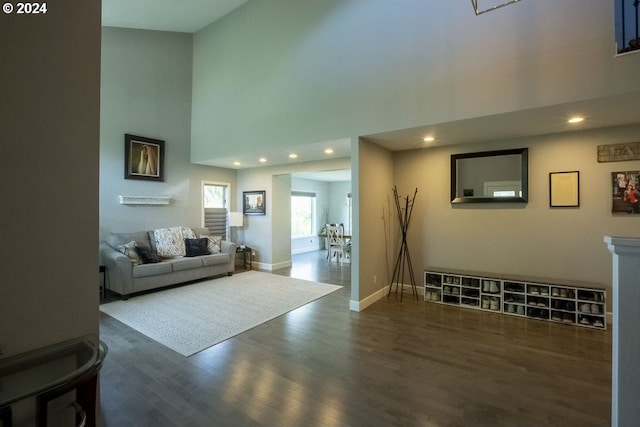 living room featuring a towering ceiling and dark hardwood / wood-style flooring