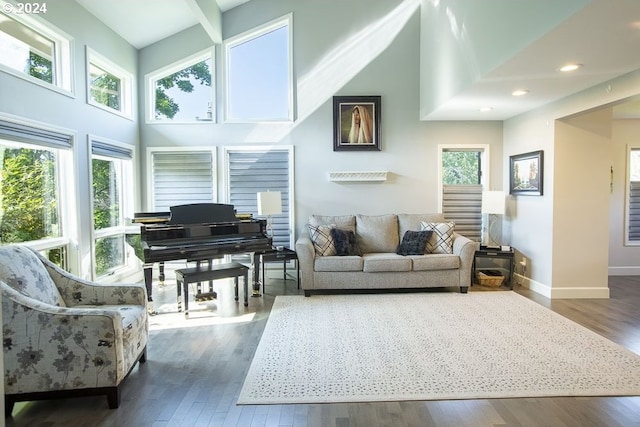 sitting room with dark hardwood / wood-style flooring, a high ceiling, and a wealth of natural light