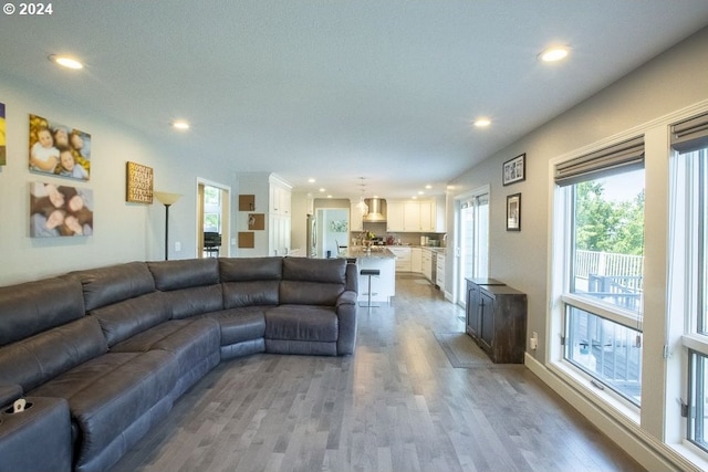 living room with light hardwood / wood-style floors