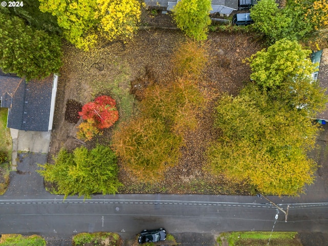 bird's eye view