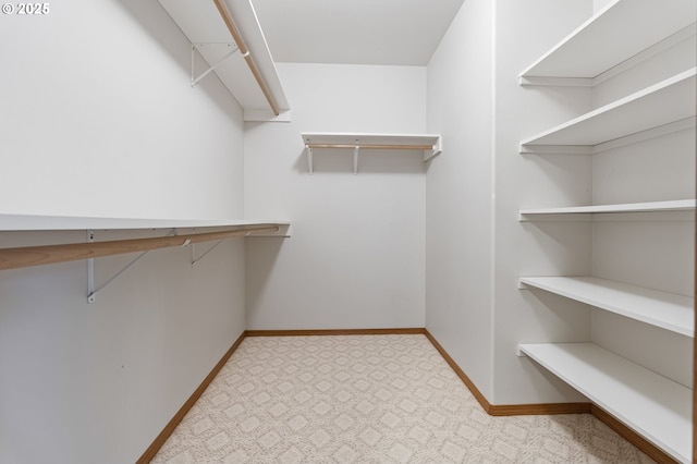 spacious closet featuring light colored carpet