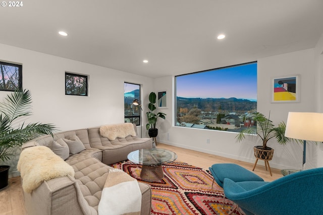 living room with wood-type flooring