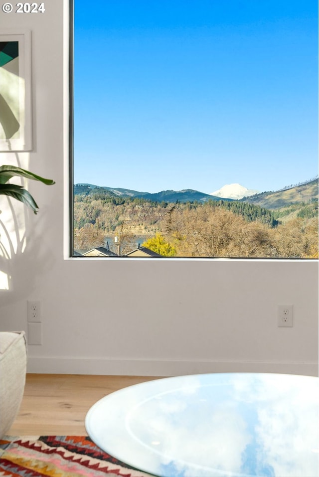 interior space featuring wood-type flooring and a mountain view