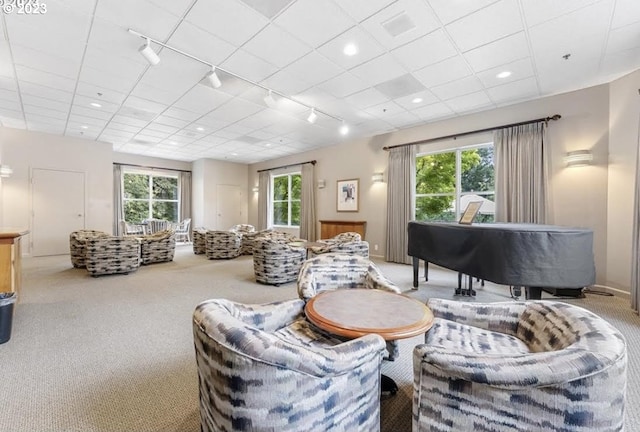 carpeted living room featuring a drop ceiling and track lighting