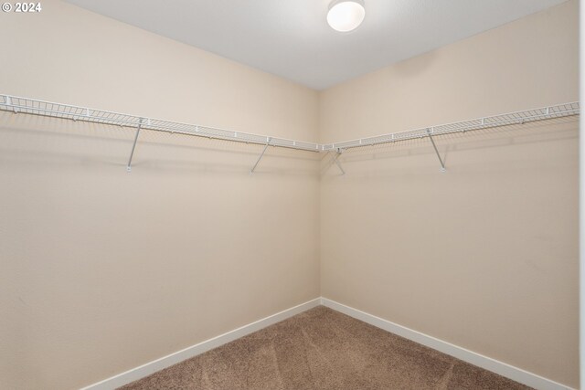 spacious closet featuring carpet floors