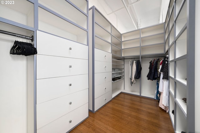 spacious closet with dark hardwood / wood-style flooring