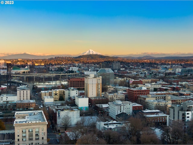 city view featuring a mountain view