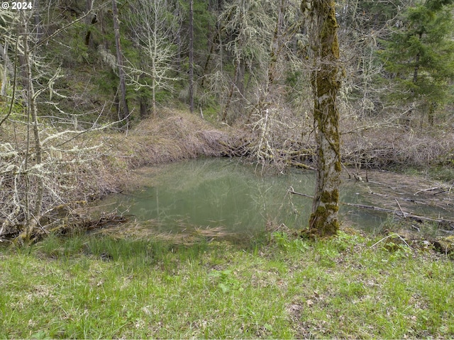 view of landscape featuring a view of trees